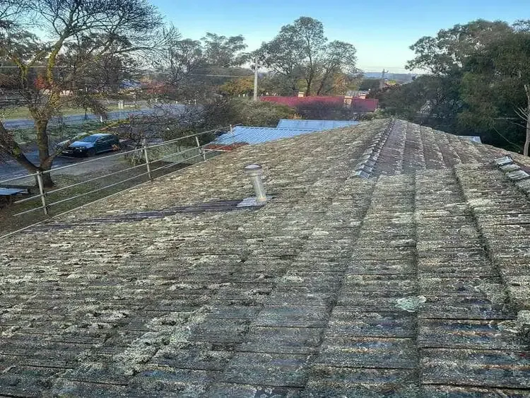 Before: weathered concrete tiled roof covered in lichen