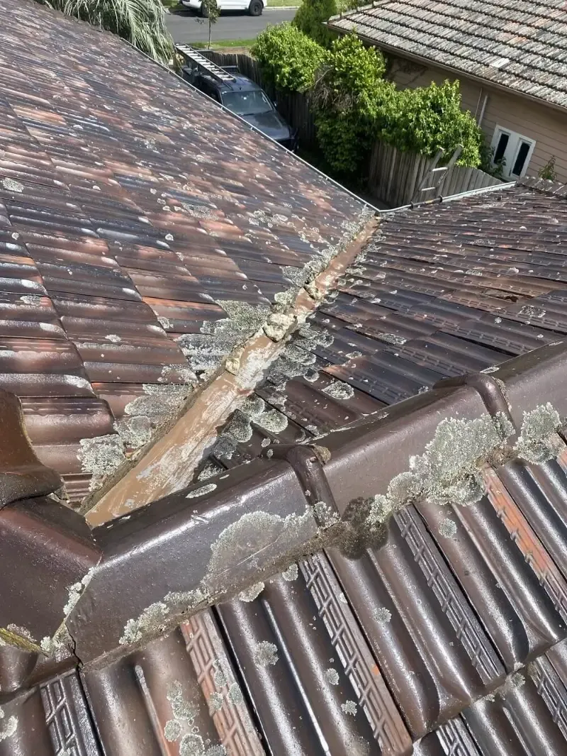 Before: rusted, lichen-covered valley iron on a tiled roof