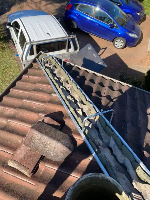 Rebedding 1152×1536 768×1024.